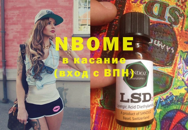 бошки Тайга