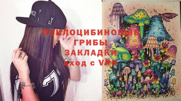 2c-b Тавда