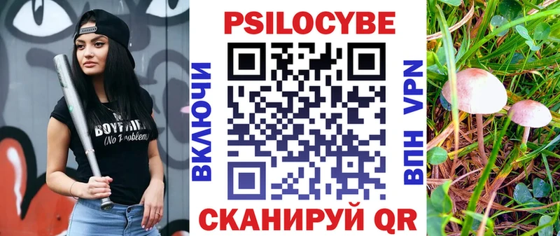 Галлюциногенные грибы мицелий как найти закладки kraken зеркало Хвалынск